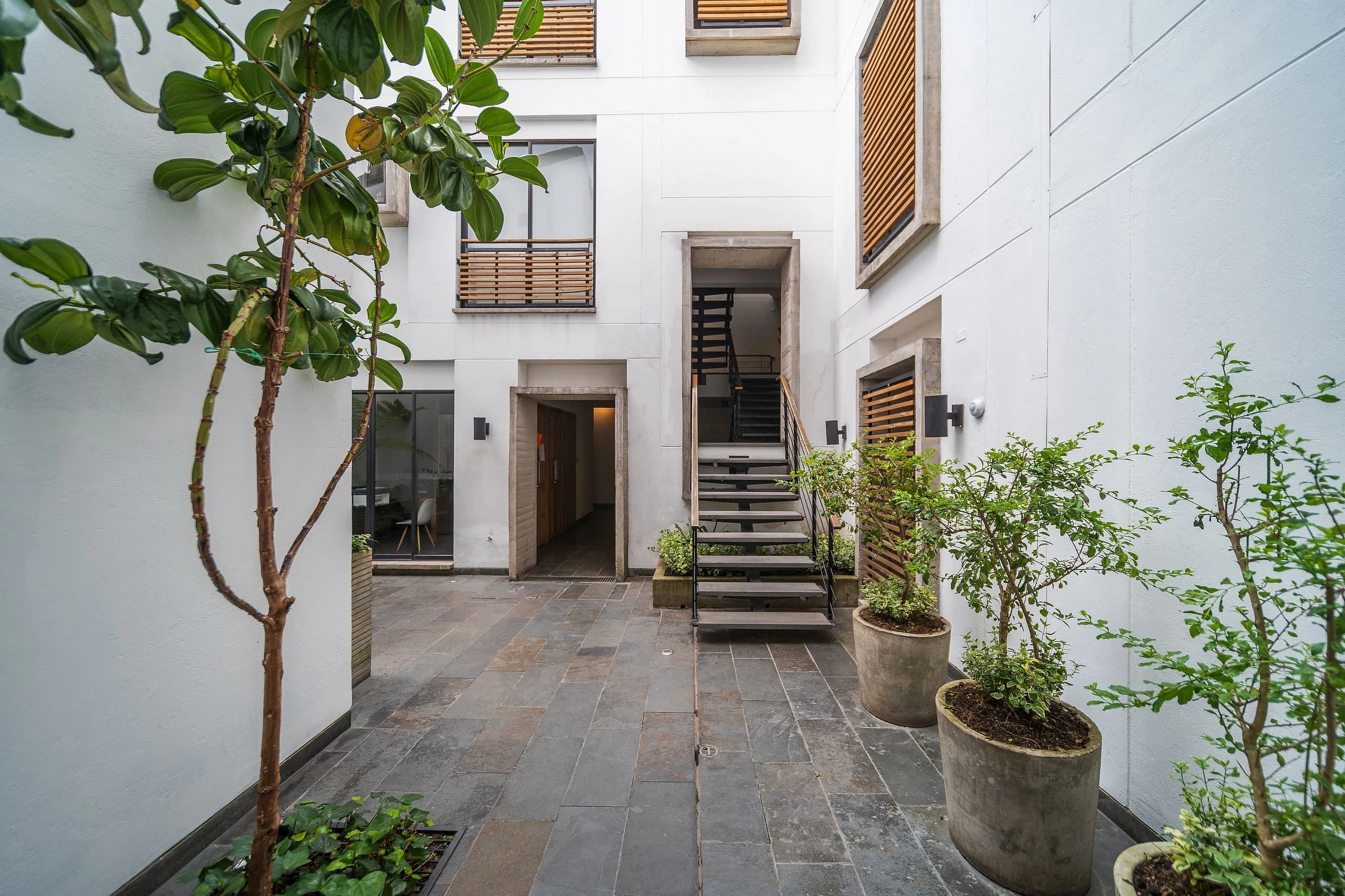 Vista 3 de La Antigua Candelaria x Ahead